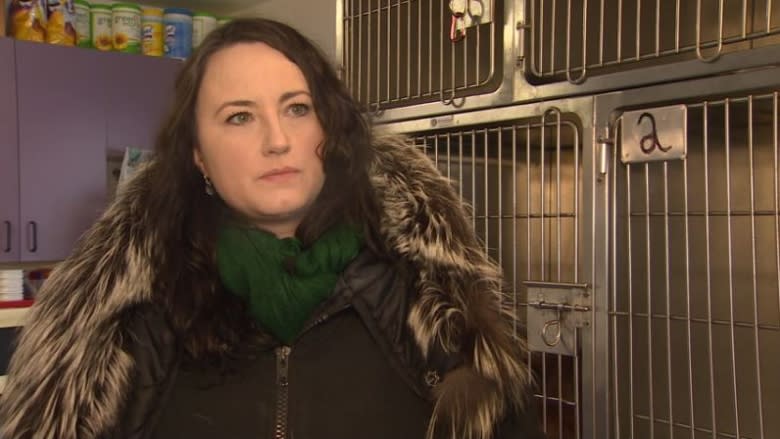 'A lot of tears': Fire at Quebec SPCA leaves Iqaluit shelter in dire need