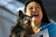 <p>Miriam Cheng of Santa Rosa, Calif., holds up Moe, a Brussel griffon pug, who took finished second during the World’s Ugliest Dog Contest at the Sonoma-Marin Fair Friday, June 23, 2017, in Petaluma, Calif. (Photo: Eric Risberg/AP) </p>