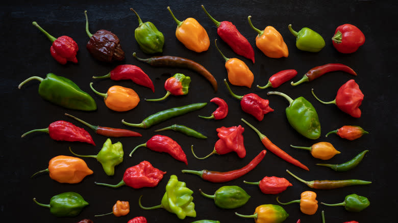 variety of peppers