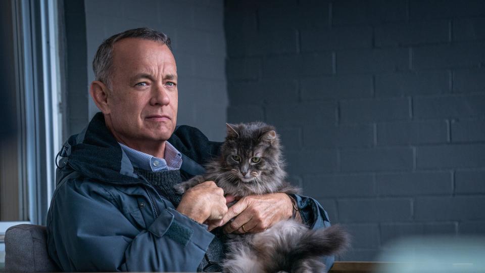Tom Hanks holding a cat