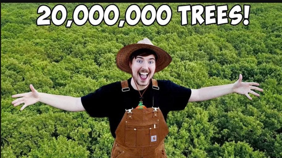 mrbeast trees