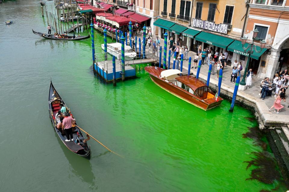 A gondola navigates along Venice's historical Grand Canal as a patch of phosphorescent green liquid spreads in it, Sunday, May 28, 2023. The governor of the Veneto region, Luca Zaia, said that officials had requested the police to investigate to determine who was responsible, as environmental authorities were also testing the water.