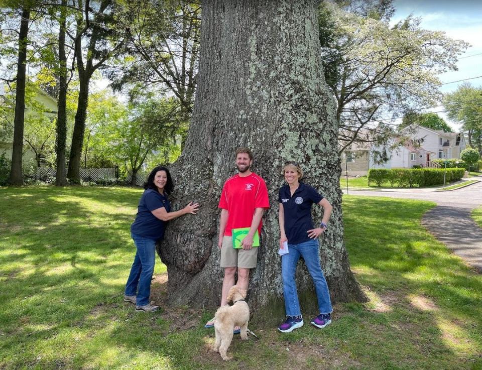 Fair Lawn Mayor Gail Rottenstrich, Borough Manager Kurt Peluso and state Assemblywoman Lisa Swain posed by a black oak tree in Berdan Grove Park last August, along with Mallo the dog.