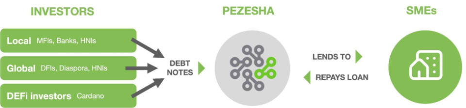 Kenyan fintech Pezesha raises $11 million backed by Women World Banking, Cardano builder IOG