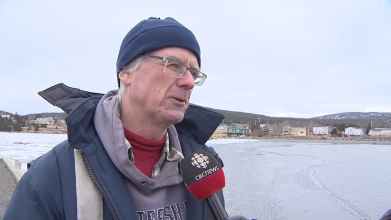 DFO says it couldn't have prevented whale rescuer Joe Howlett's death