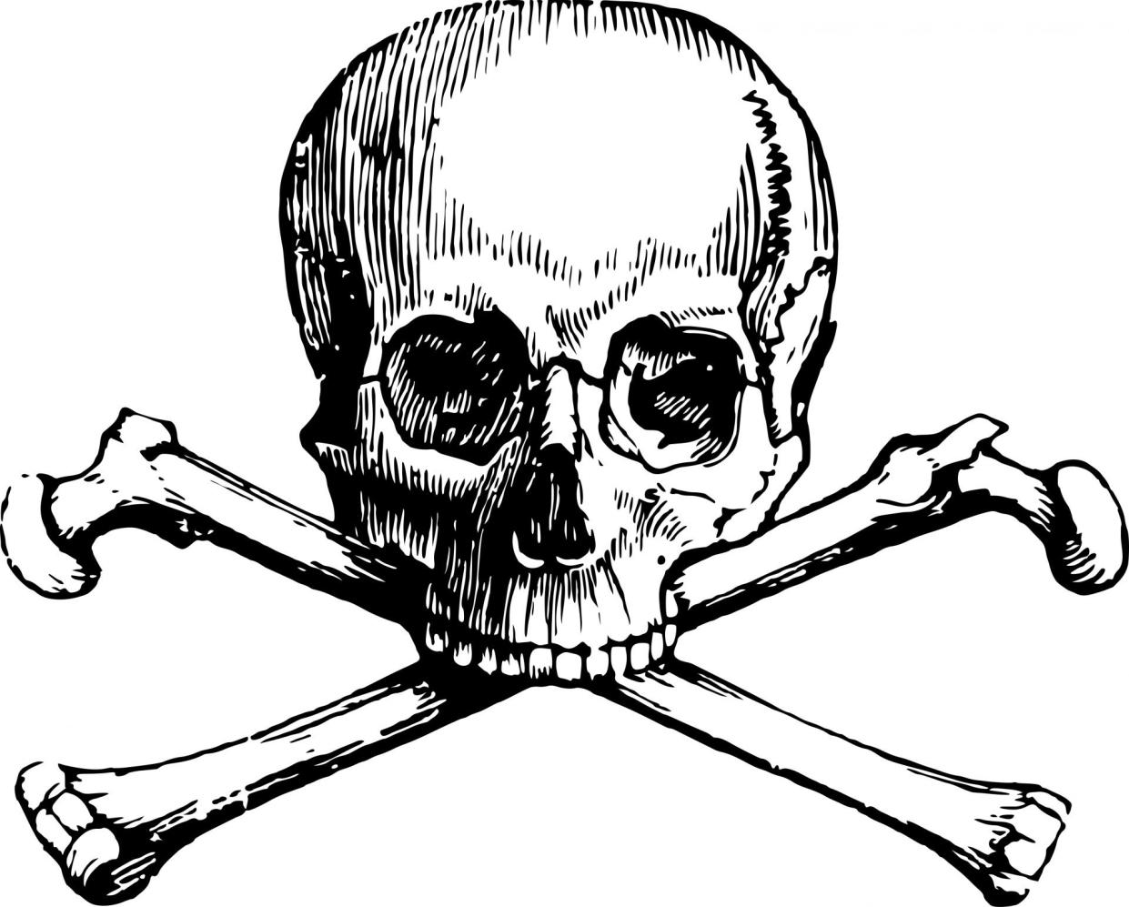 Many pirates flew flags displaying skeletons or skulls and crossbones, like this one. The standard was called a 'Jolly  Roger.'