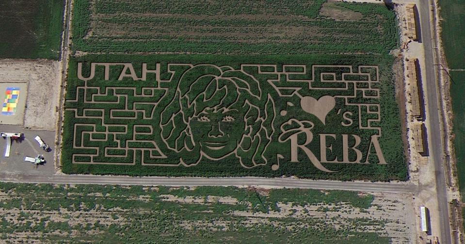 reba corn maze