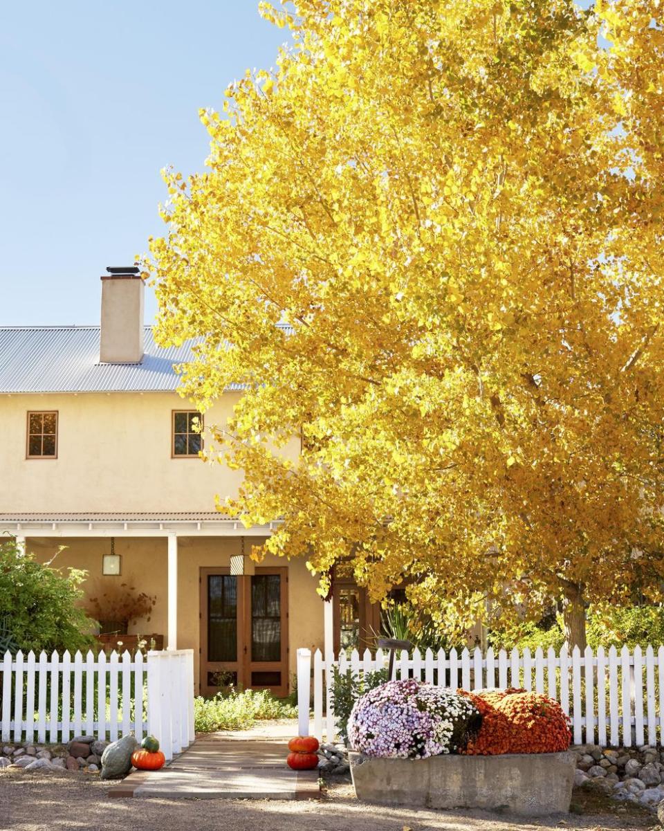 <p>Give your garden an autumn makeover by filling planters and flower beds with fall favorites. You simply can’t go wrong with mums and stacks of pumpkins for <a href="https://www.countryliving.com/home-design/decorating-ideas/g2621/fall-porch-decorating/" rel="nofollow noopener" target="_blank" data-ylk="slk:ultimate fall curb appeal;elm:context_link;itc:0;sec:content-canvas" class="link ">ultimate fall curb appeal</a>!<br></p>