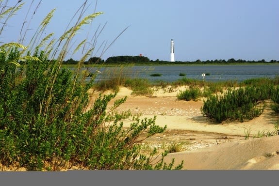 View of south end of Cape Island in Cape Romain National Wildlife Refuge in South Carolina. The remains of the Civil War-era steamer Planter are located within sight of an 1857 lighthouse.