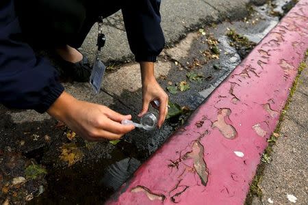 Jolene Bertetto, a water conservation technician with East Bay Municipal Utility District, takes a water sample from runoff in a neighborhood in Oakland, California April 8, 2015. REUTERS/Robert Galbraith