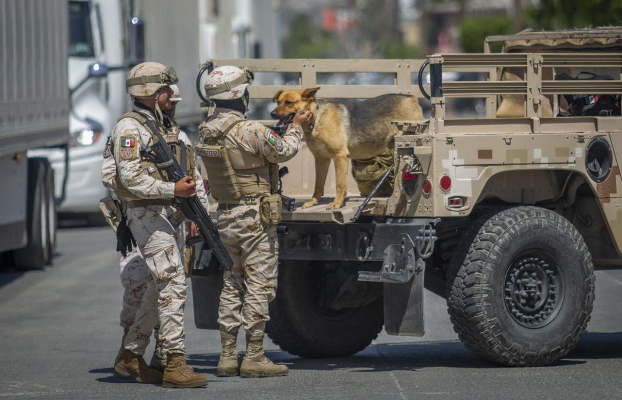 TIJUANA BAJA CALIFORNIA, Elementos de Ejército Mexicano con el  perro hallado en la casa desde donde se ingresaba al narcotúnel localizado en Tijuana. | FOTO: OMAR MARTÍNEZ /CUARTOSCURO.COM