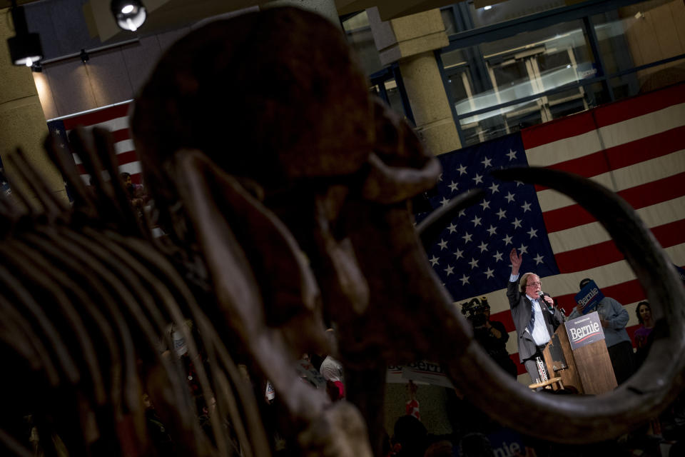 The skeleton of a woolly mammoth is visible as Democratic presidential candidate Sen. Bernie Sanders, I-Vt., speaks at a campaign stop at the State Historical Museum of Iowa, Monday, Jan. 20, 2020, in Des Moines, Iowa. (AP Photo/Andrew Harnik)