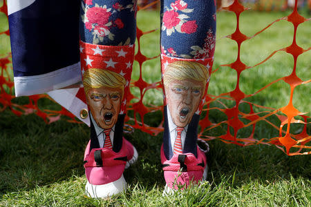 A demonstrators wears socks printed with U.S. President Donald Trump during rally in Berkeley, California in Berkeley, California, U.S., April 15, 2017. REUTERS/Stephen Lam