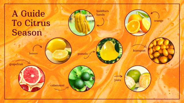 Here's Your Tell-All Guide To Sumo Oranges, The Perfect Healthy Snack