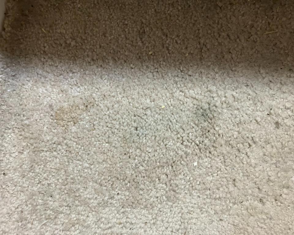 Cream carpeted stairs with stains