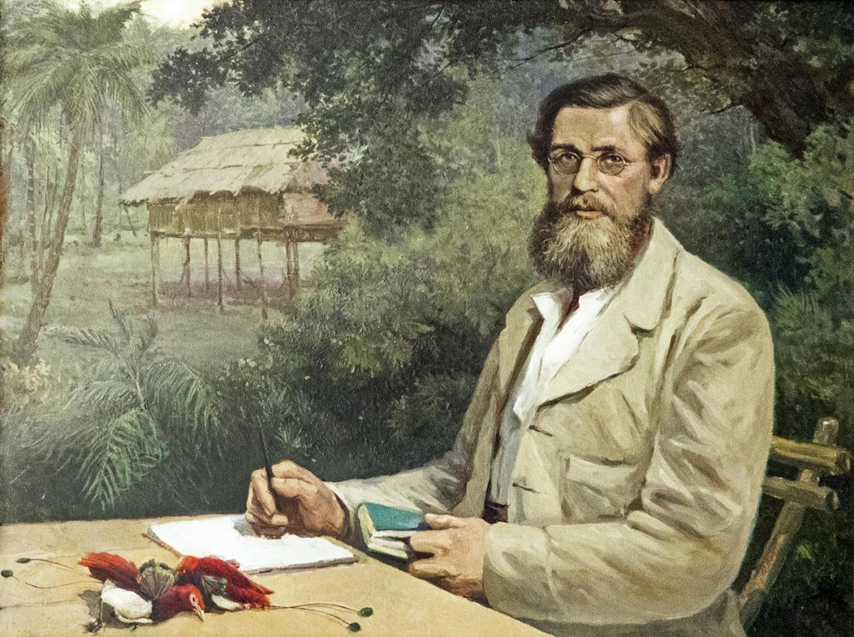 El Museo Nacional de Ciencias Naturales (MNCN-CSIC) inauguró el 2 de noviembre la exposición 'Alfred Russel Wallace (1823-1913). Biogeografía y Evolución'. <a href="https://www.mncn.csic.es/es/Comunicaci%C3%B3n/el-mncn-celebra-el-bicentenario-del-nacimiento-del-naturalista-alfred-russel-wallace" rel="nofollow noopener" target="_blank" data-ylk="slk:Victor Evstatieff / MNCN;elm:context_link;itc:0;sec:content-canvas" class="link ">Victor Evstatieff / MNCN</a>, <a href="http://creativecommons.org/licenses/by-sa/4.0/" rel="nofollow noopener" target="_blank" data-ylk="slk:CC BY-SA;elm:context_link;itc:0;sec:content-canvas" class="link ">CC BY-SA</a>