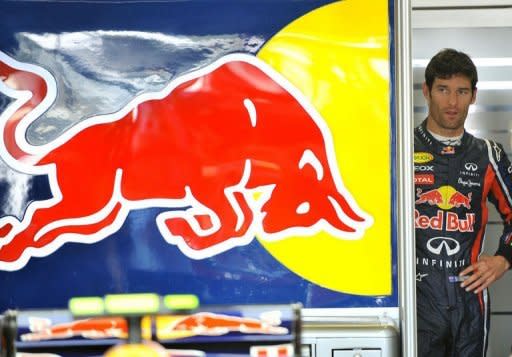 Red Bull-Renault driver Mark Webber of Australia stands in the pit during a practice session of the F1 Japanese Grand Prix at Suzuka. Germany's Sebastian Vettel became Formula One's youngest back-to-back world champion when he finished third in the Japanese Grand Prix behind Jenson Button and Fernando Alonso