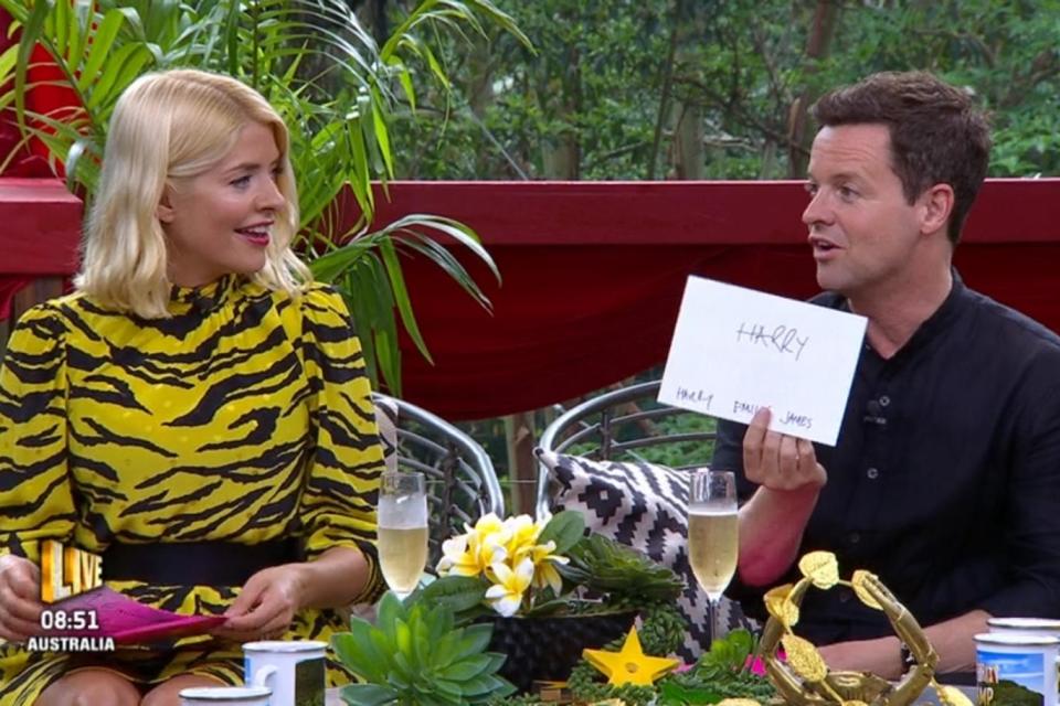 Guess work: Declan Donnelly with Holly Willoughby on Extra Camp (ITV)