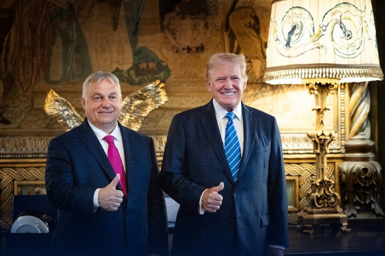 Der ungarische Ministerpräsident Orban hat sich nach dem Nato-Gipfel in Washington mit dem früheren US-Präsidenten Trump getroffen. "Wir haben darüber gesprochen, wie wir Frieden schaffen können", erklärte Orban anschließend. (Handout)