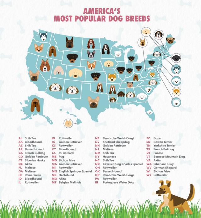 dog species list