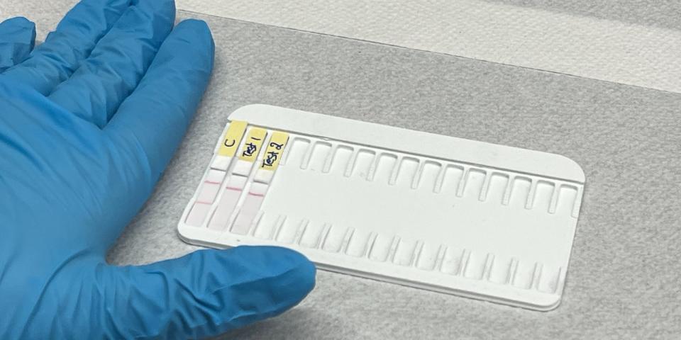 The sap tests resemble COVID or pregnancy tests. Two lines indicates that the sap is still good while one line indicates that it's gone bad.