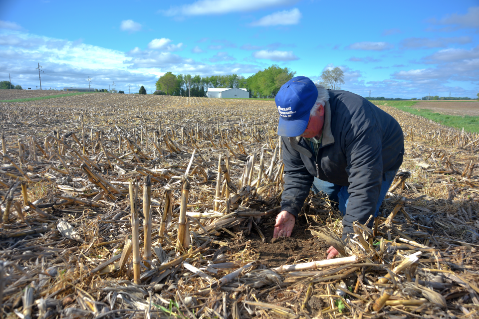 Carl Eliason examines the soil where his soybean crop is growing on a no-till field. Corn stalk debris from a previous harvest has been purposefully left in place to better hold the soil in place, which has kept erosion from a windy spring season to a minimum.