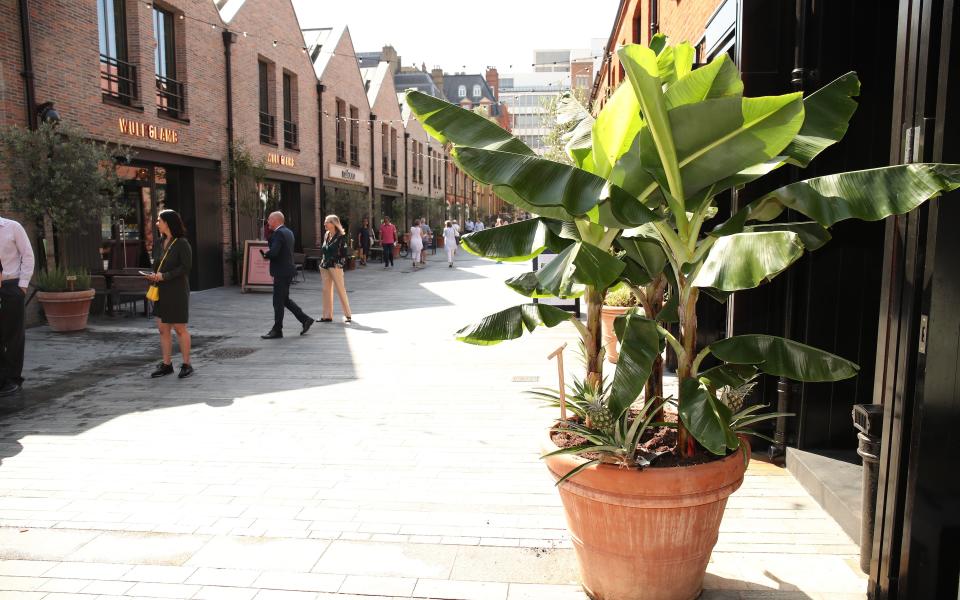 Swallow the yellow brick road: bananas and pineapples grow on Pavilion Road in Chelsea