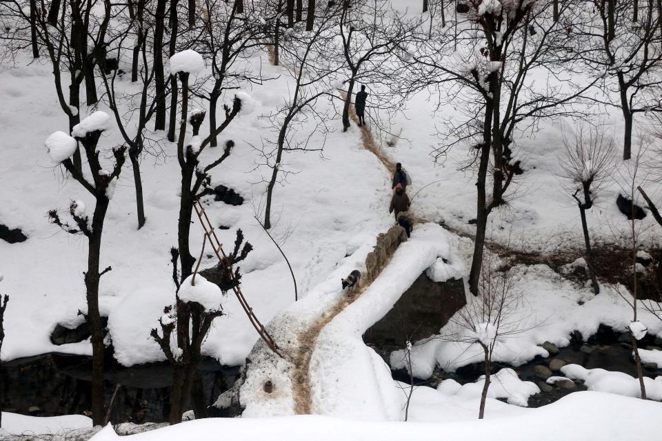 A shepherd walking his sheep near a frozen water body in Kokernag Anantnag.