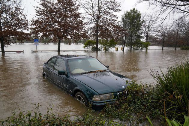 La Ville de Sidney lance un appel à la vigilance après plusieurs attaques  de chouettes