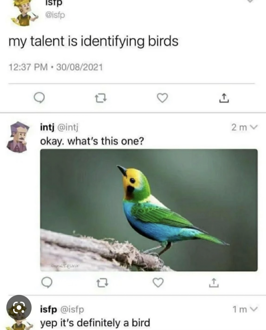 A person says their talent is identifying birds, someone responds with a picture of a bird asking what kind it is, and the original person says "yep, it's definitely a bird"