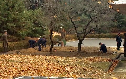 North Korean soldiers dig a trench and plant trees in the area where, on November 13, a defector ran across the border at the Demilitarized Zone - Credit: REUTERS