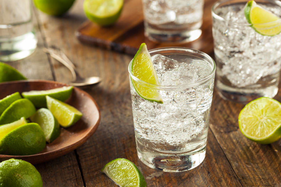 Alcoholic Gin and Tonic with a Lime Garnish