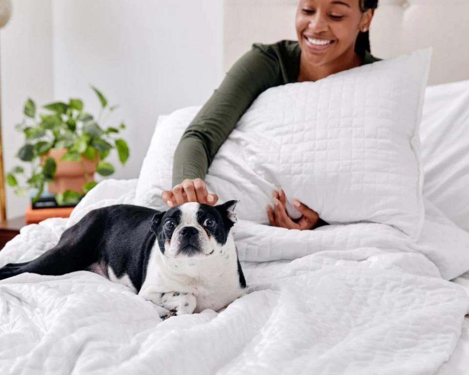 white gravity weighted comforter with a person and dog on top