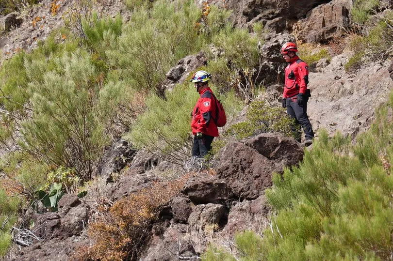 Firefighters near to the village of Masca, Tenerife on Saturday June 22, 2024. -Credit:James Manning/PA Wire