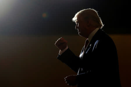 Republican presidential nominee Donald Trump appears at a campaign event in Toledo, Ohio, U.S., October 27 2016. REUTERS/Carlo Allegri