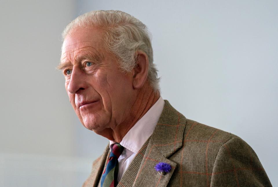 King Charles III, photographed last month (PA)