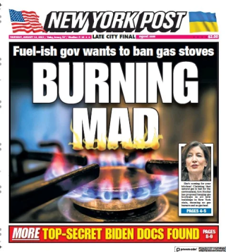 “Fous furieux”, titrait le tabloïd conservateur “New York Post” à la une de son édition du 12 janvier.. 