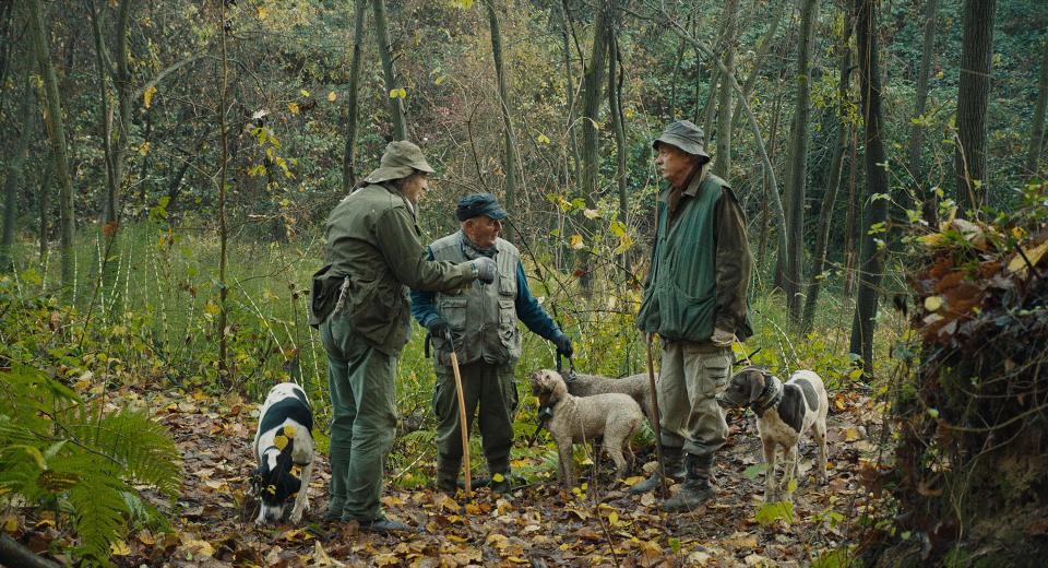 This image released by Sony Pictures Classics shows a scene from "The Truffle Hunters." (Sony Pictures Classics via AP)