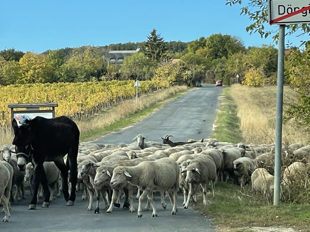 On the road to Susan Keenan Sweeney's home in Hungary.