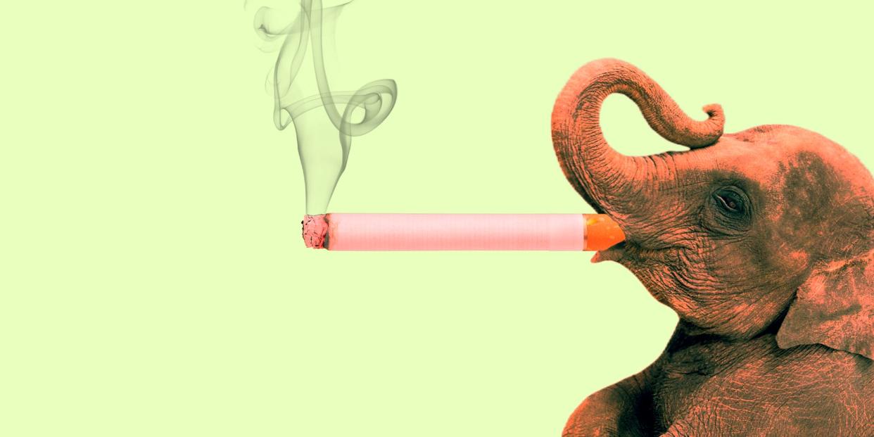 An elephant smoking a cigarette