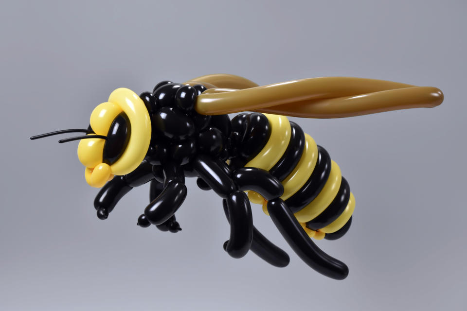 Wasp by Masayoshi Matsumoto. (Photo: Masayoshi Matsumoto/Caters News)