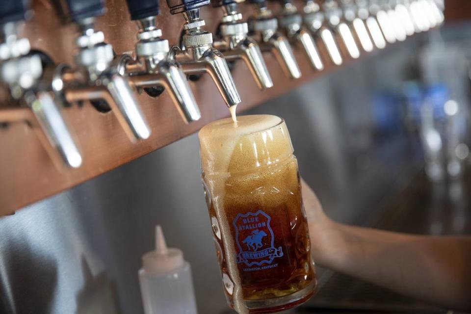 Blue Stallion Brewing Co. will have several release in celebration of Lexington Craft Beer Week plus paired meals from in-house restaurant, Yearling Kitchen. Ryan C. Hermens/rhermens@herald-leader.com