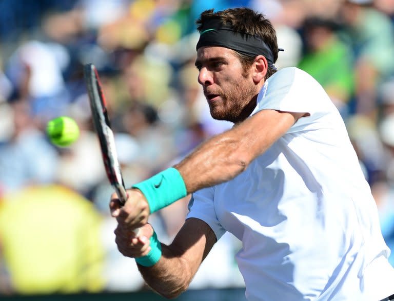 Juan Martin del Potro is pictured during his Indian Wells final against Rafael Nadal in California on March 17, 2013. Del Potro, perhaps tired from his lengthy duels with Djokovic and Murray, couldn't match Nadal's physicality in the third set