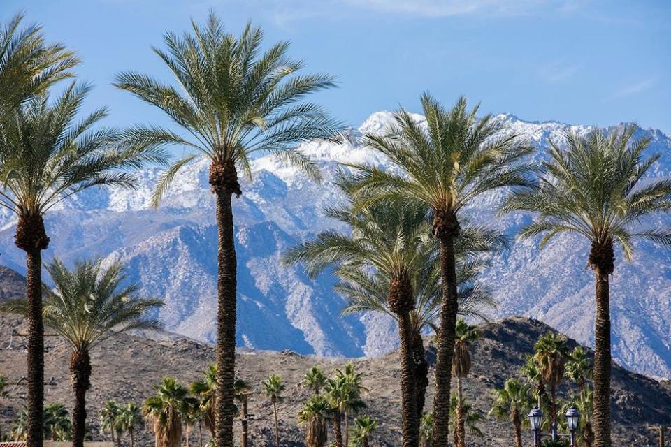 Mt. San Jacinto