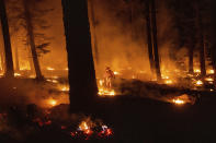 A firefighter uses a drip torch to ignite vegetation while trying to stop the Dixie Fire from spreading in Lassen National Forest, Calif., on Monday, July 26, 2021. (AP Photo/Noah Berger)