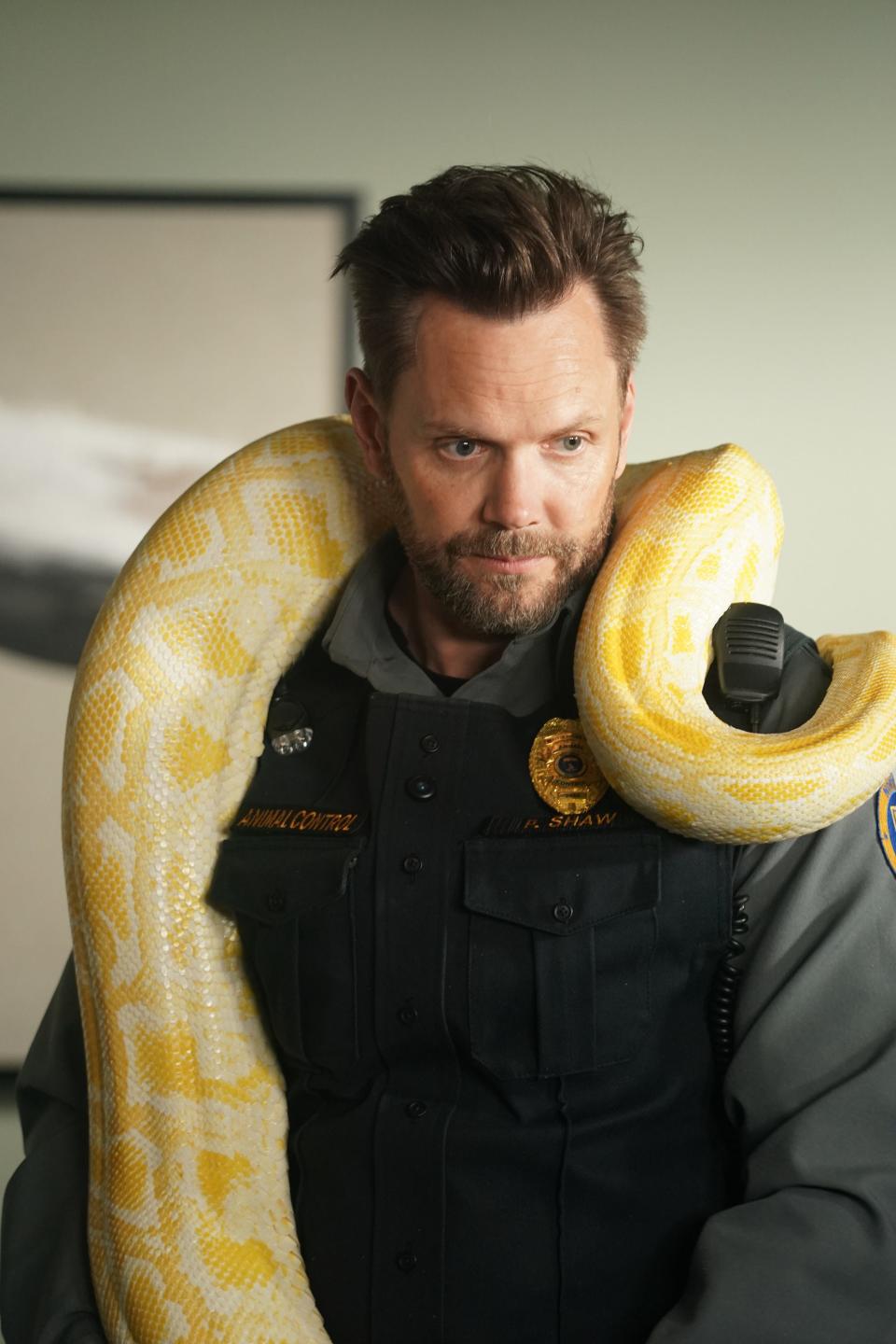 Joel McHale in the “Rabbits and Pythons” episode of "Animal Control."