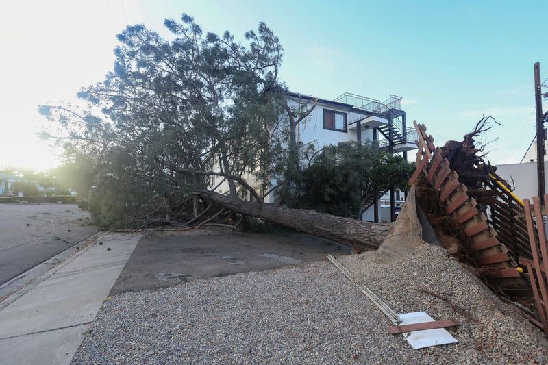 Winter storm causes damage in California