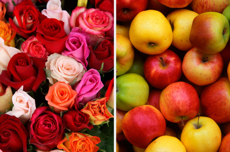 Roses, next to apples