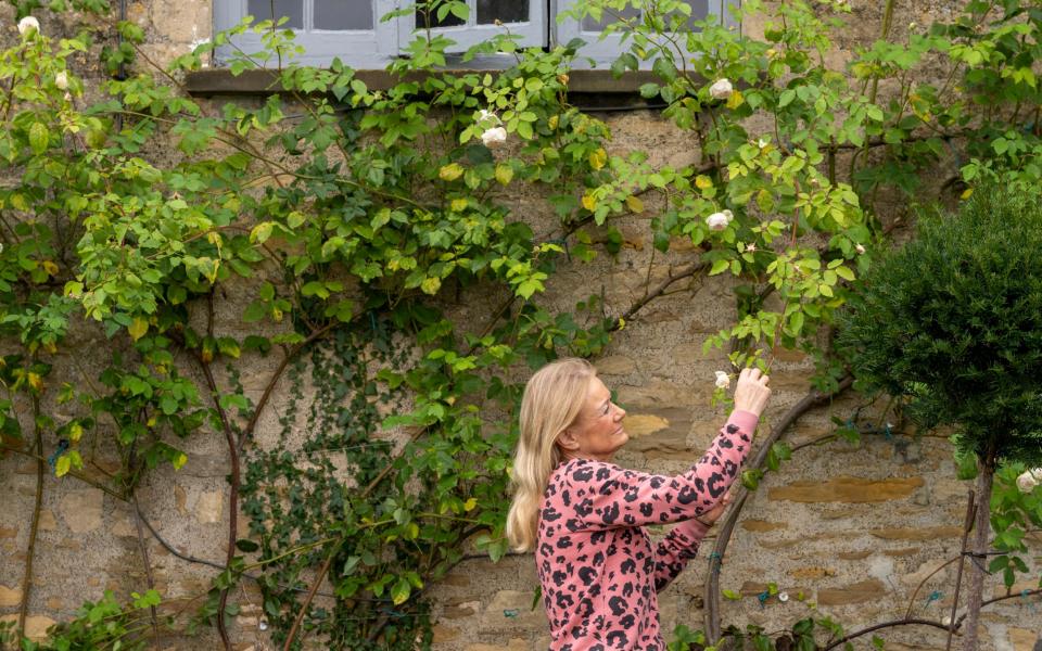 I love watching the early morning sun spill across our north-facing garden in the morning - Andrew Crowley