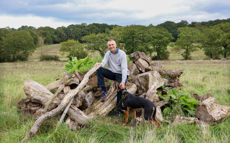 Ben Goldsmith calls for wolves to be reintroduced into the wild in England